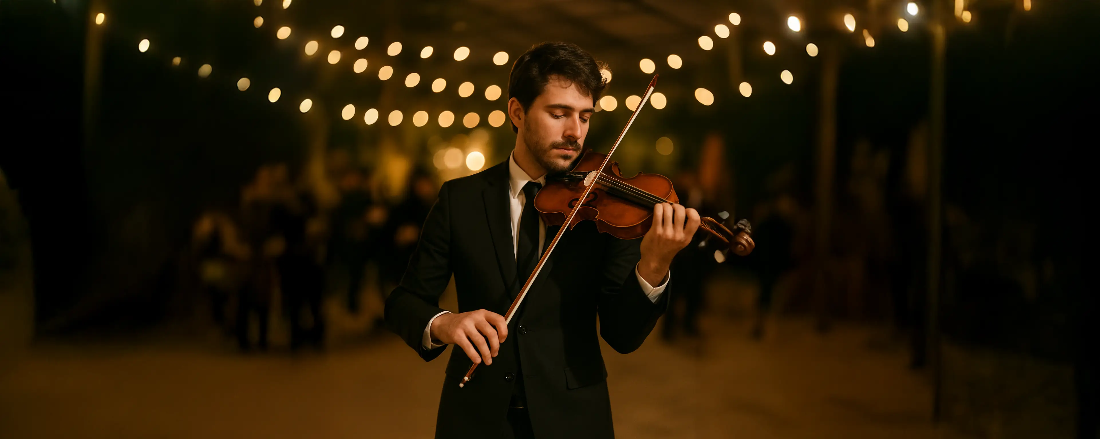 Violinista